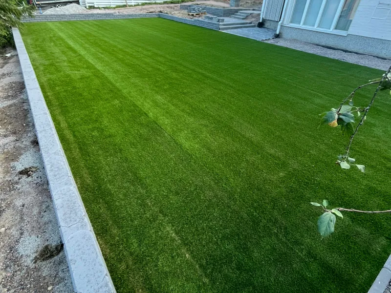 Taloyhtiön yhteispiha